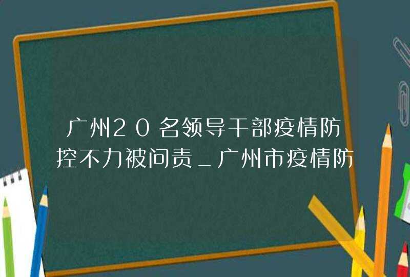 广州20名领导干部疫情防控不力被问责_广州市疫情防控不力被问责的领导