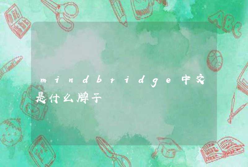 mindbridge中文是什么牌子