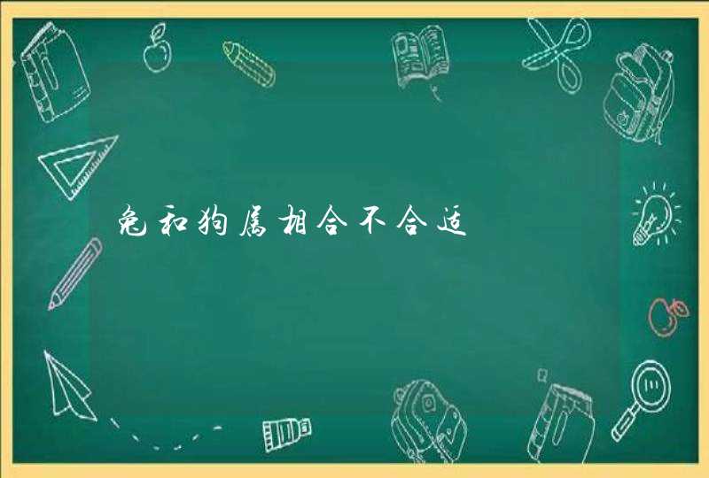 兔和狗属相合不合适