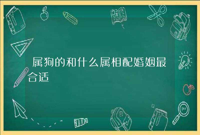 属狗的和什么属相配婚姻最合适