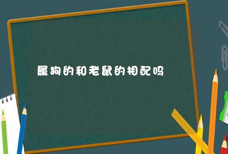 属狗的和老鼠的相配吗