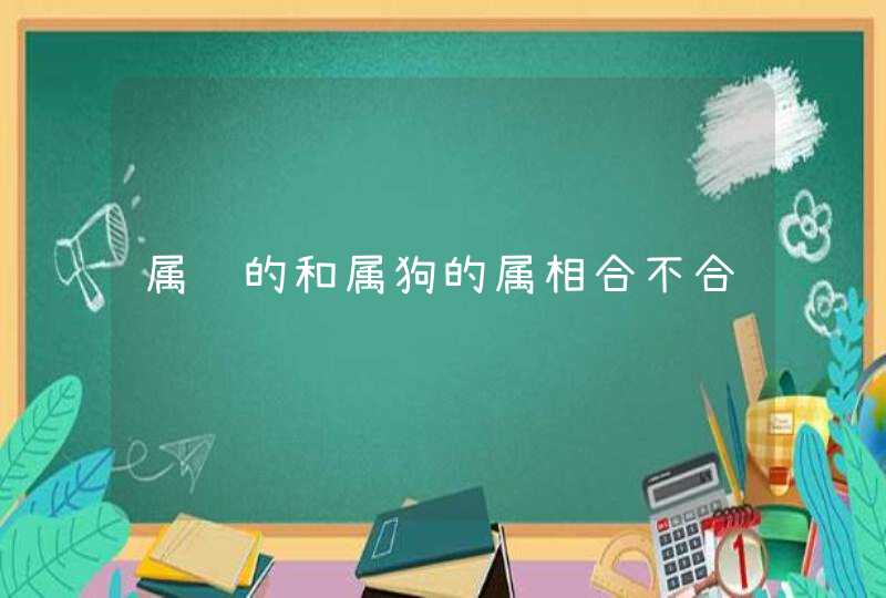 属鸡的和属狗的属相合不合