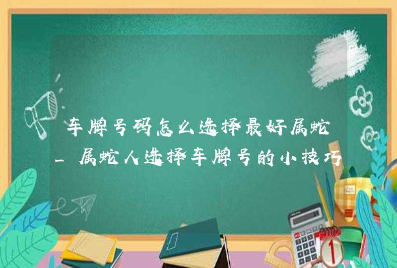 车牌号码怎么选择最好属蛇_属蛇人选择车牌号的小技巧