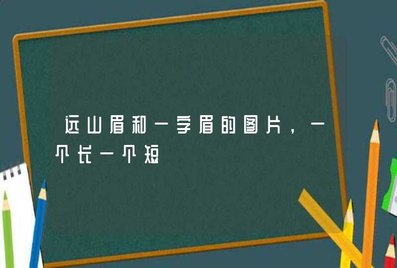 远山眉和一字眉的图片，一个长一个短